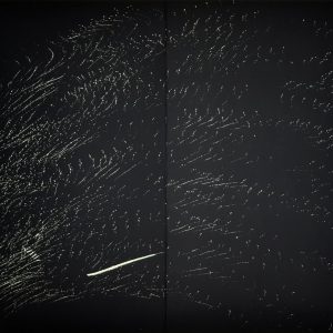 LOT N°28 Hans HARTUNG (1904 1989)