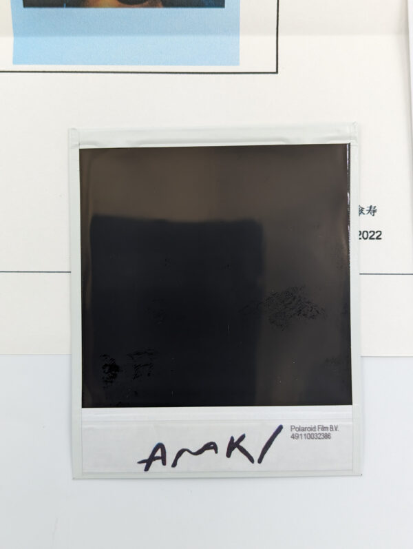 Nobuyoshi ARAKI (Né en 1940), Attribué à  Sans titre - Image 2