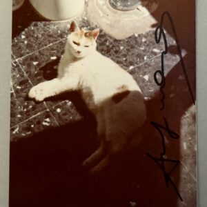 Andy WARHOL (1928-1987), Attribué à.