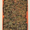 Moshe TAMIR (1924-2004) – Image 2