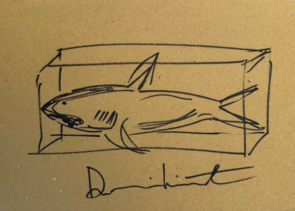 Damien HIRST (Né en 1965), Attribué à.  Shark.