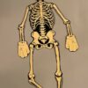KAWS (NÉ EN 1974)  Skeleton, 2017