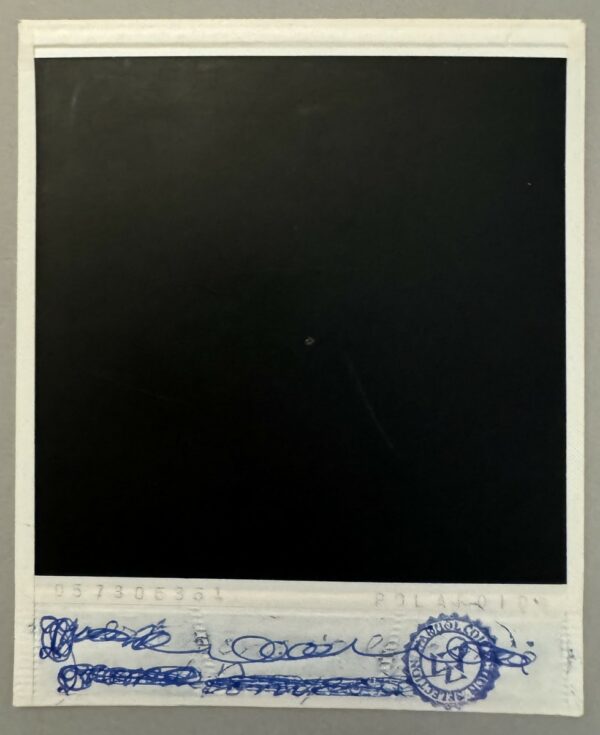 Andy WARHOL (1928-1987), Attribué à  Family portrait - Image 4