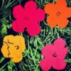 Andy WARHOL (1928-1987), d'après.  Flowers 1964.