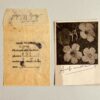 Andy WARHOL (1928-1987), Attribué à.  Flowers. - Image 2