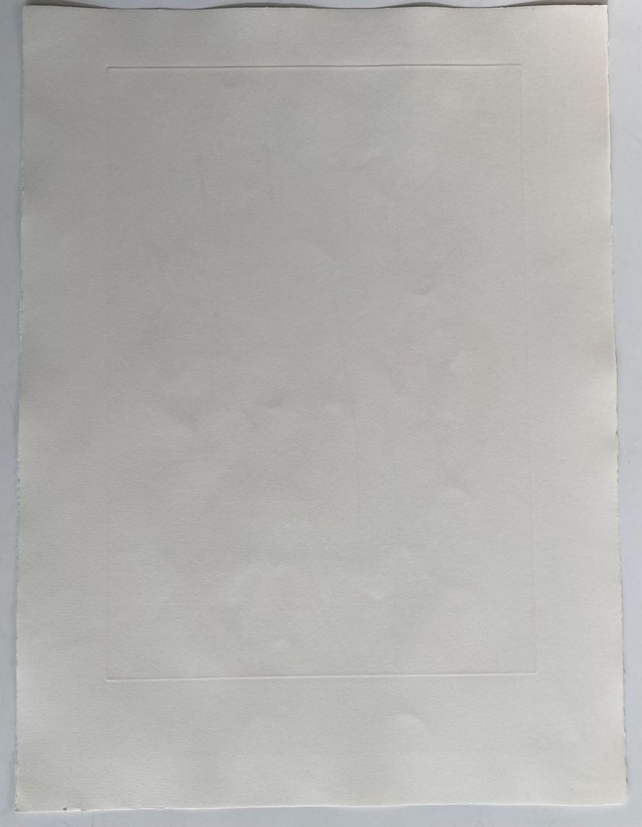 Salvador DALI (1904-1989) - Le Singe et le Léopard, 1974 - Image 4