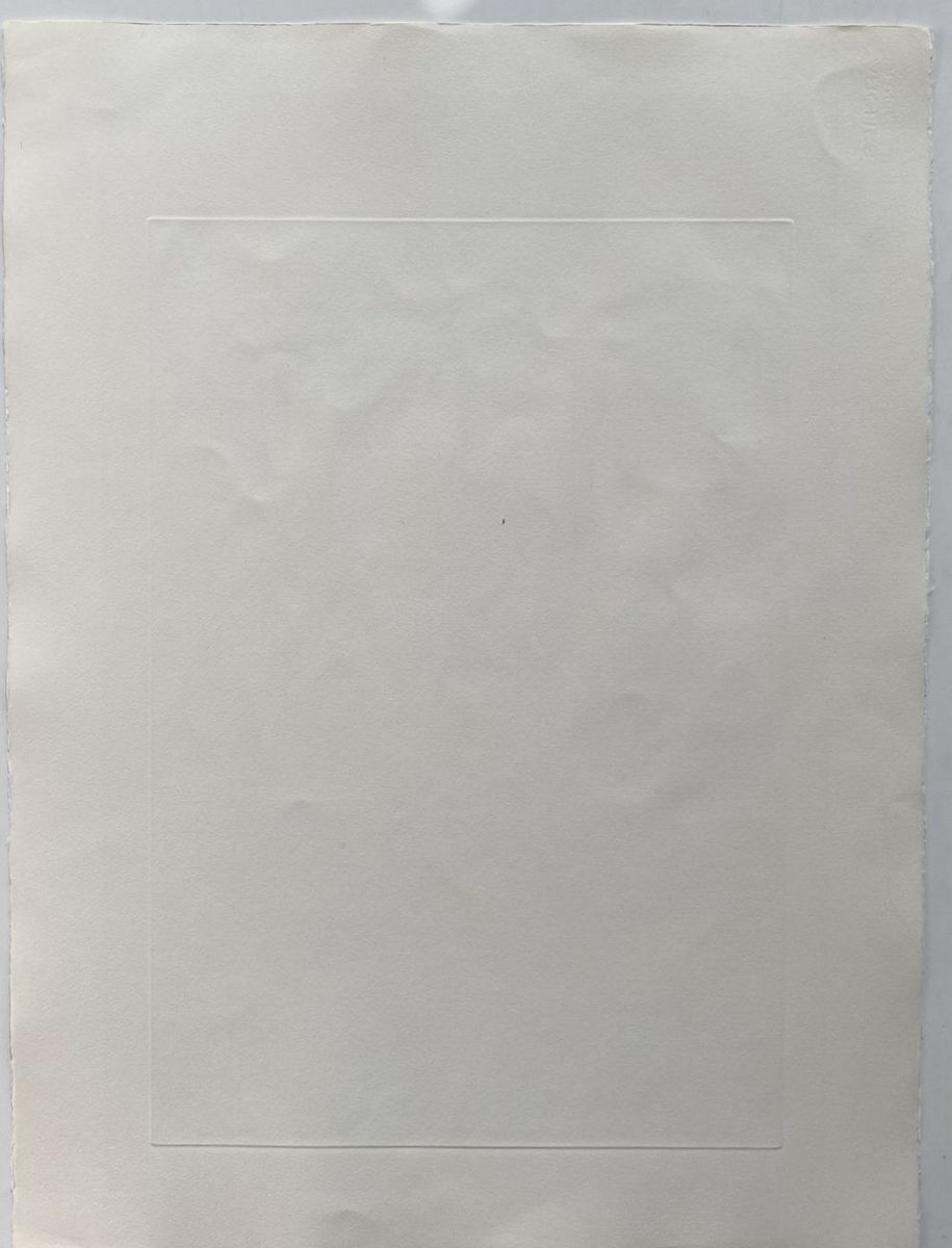 Salvador DALI (1904-1989) - La Cour du Lion, 1974 - Image 4