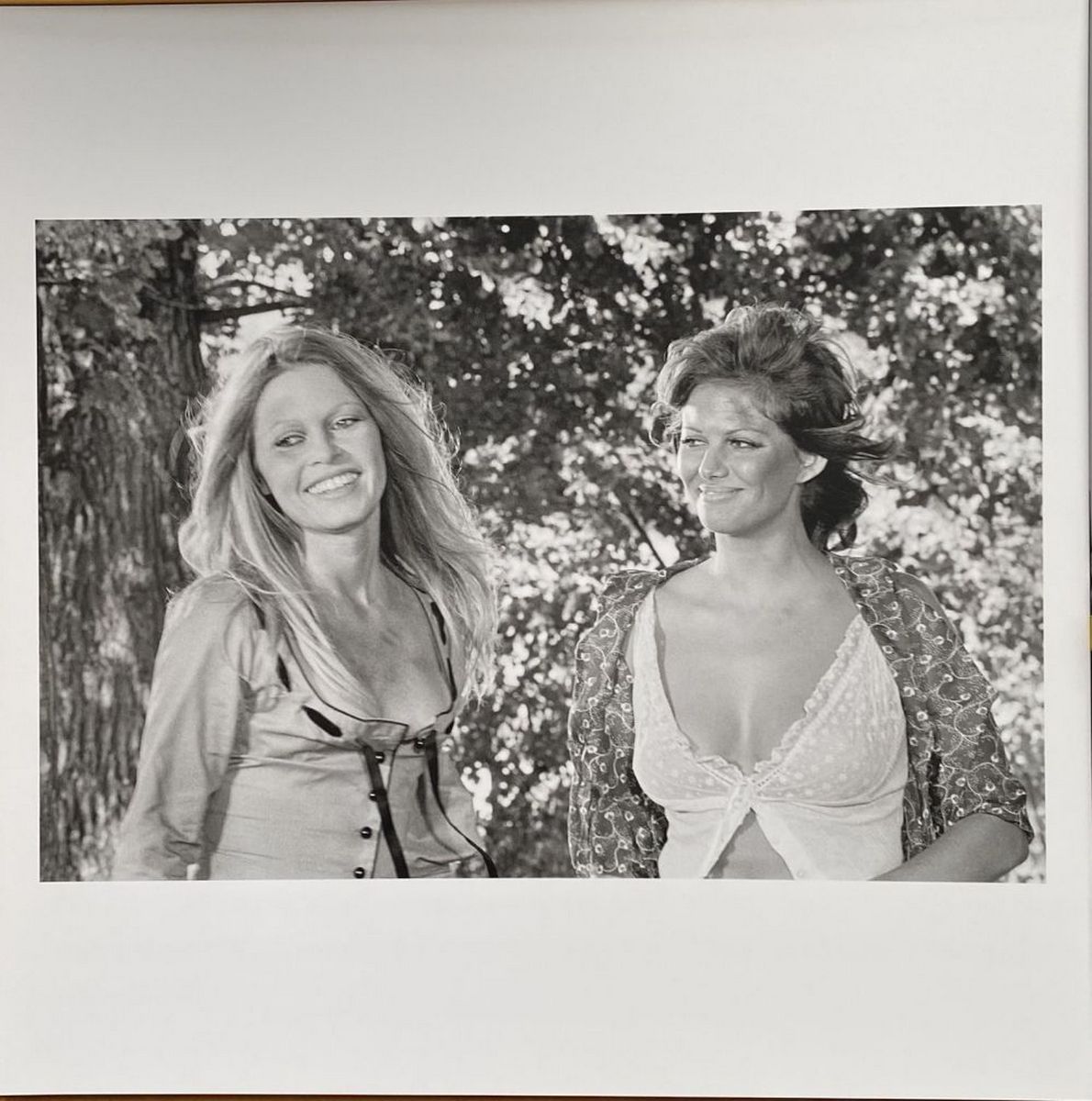 Léonard DE RAEMY (1924-2000) - Brigitte Bardot, 2015