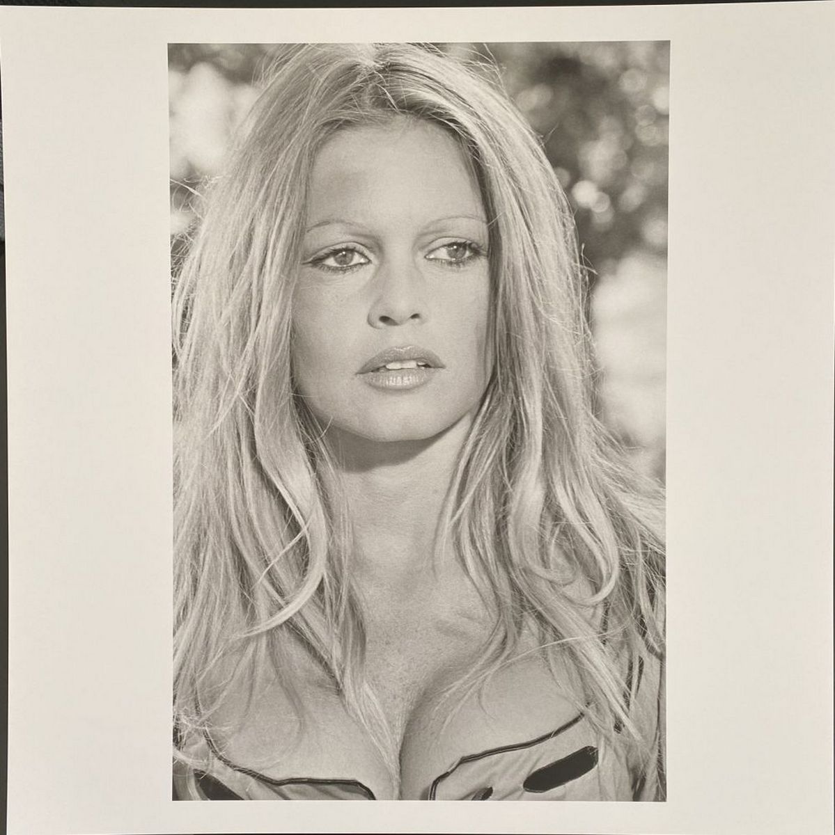 Léonard DE RAEMY (1924-2000) - Brigitte Bardot, 2015