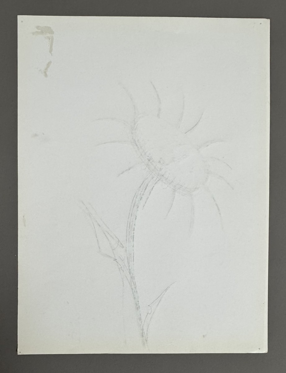 Bernard BUFFET (1928-1999) « Tournesol ». Circa 1980. – Image 4